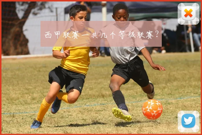 西甲联赛一共几个等级联赛？